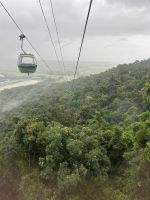 Fahrt mit der Skyrail in den Regenwald