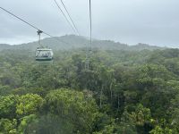 Gondelfahrt über den Regenwald