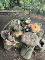 Willkommens-Ritual der Ureinwohner Kuku Yalanji