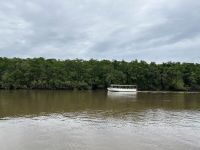 Bootsfahrt auf dem Daintree-Fluss