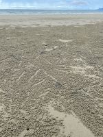 Strand von Port Douglas