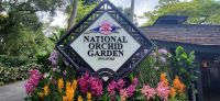 23 Besuch Orchideengarten in Singapur