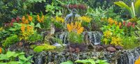 25 Orchideengarten Singapur