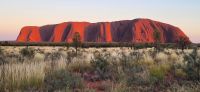 81 Sonnenaufgang am Uluru