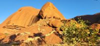 85 Spaziergang am Uluru