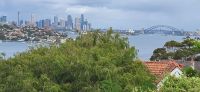 144 Skyline Sydney aus der Ferne