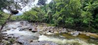 261 Mossman River