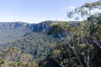 Blue Mountains (5).jpg