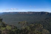 Blue Mountains (6).jpg