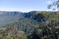 Blue Mountains (7).jpg