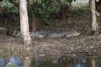 Bootsfahrt auf dem Yellow Waters, Kakadu Nationalpark (7).jpg
