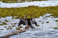 Bootsfahrt auf dem Yellow Waters, Kakadu Nationalpark (18).jpg