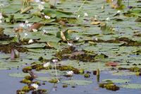 Bootsfahrt auf dem Yellow Waters, Kakadu Nationalpark (20).jpg