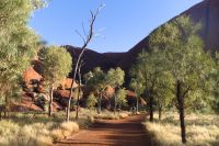 Erkundungen am Uluru, Uluru-Kata-Tjuta-Nationalpark (3).jpg