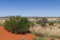 Fahrt nach Alice Springs, Sanddüne_Salzsee (2).jpg