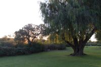 Westaustralien - Yanchep Nationalpark (6).jpg