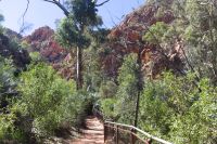 Western MacDonnall Ranges, Standley Chasm (4).jpg