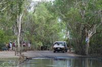 Zufahrtstraße Bootsfahrt auf dem Yellow Waters.jpg