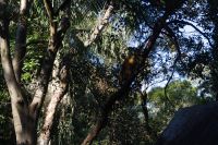 Featherdale Wildlife Park (10).jpg