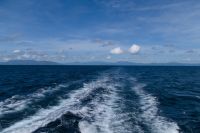 Katamaranfahrt mit der Ocean Spirit, Great Barrier Reef (3).jpg