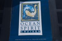 Katamaranfahrt mit der Ocean Spirit, Great Barrier Reef (6).jpg