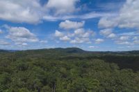 Kuranda Skyrail Seilbahn (4).jpg