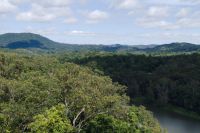 Kuranda Skyrail Seilbahn (5).jpg