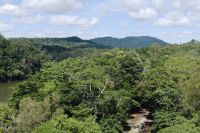 Kuranda Skyrail Seilbahn (6).jpg