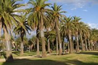 Melbourne - St. Kilda (4).jpg