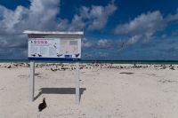 Michaelmas Cay, Great Barrier Reef (2).jpg