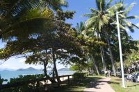 Palm Cove, Queensland (2).jpg