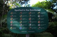 Regenwaldspaziergang auf dem Weg nach Kuranda.jpg &ndash; &copy; Annika Lembke (Eberhardt TRAVEL)