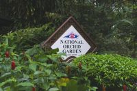 Singapur - Orchideen Garten im botanischen Garten (2).jpg