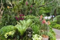 Singapur - Orchideen Garten im botanischen Garten (6).jpg