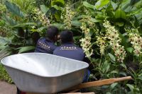 Singapur - Orchideen Garten im botanischen Garten.jpg