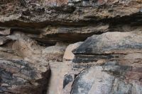 Spaziergang zu den Felsmalereien an den Nourlangiefelsen, Kakadu Nationalpark (6).jpg