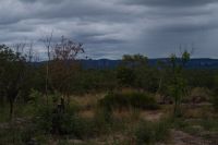 Spaziergang zu den Felsmalereien an den Nourlangiefelsen, Kakadu Nationalpark (15).jpg