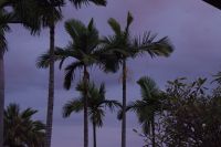 Waterfront Darwin zum Sonnenuntergang (2).jpg