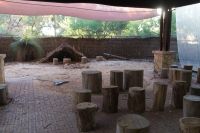 Westaustralien - Aboriginal Meeting im Yanchep Nationalpark (1).jpg