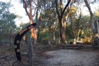 Westaustralien - Aboriginal Meeting im Yanchep Nationalpark (2).jpg