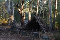 Westaustralien - Aboriginal Meeting im Yanchep Nationalpark (3).jpg