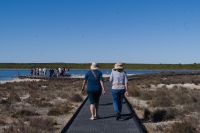 Westaustralien - Lake Thetis (3).jpg