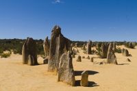 Westaustralien - Nambung Nationalpark (1).jpg
