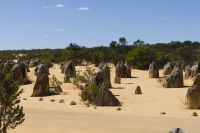 Westaustralien - Nambung Nationalpark (6).jpg