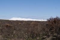 Westaustralien - Sanddüne.jpg