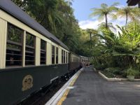 Kuranda Scenic Railway.jpeg