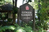 Ginger Garden in Singapur