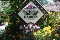 Ginger Garden in Singapur