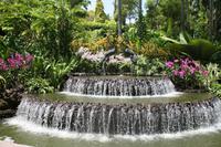 Ginger Garden in Singapur