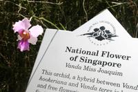 Ginger Garden in Singapur